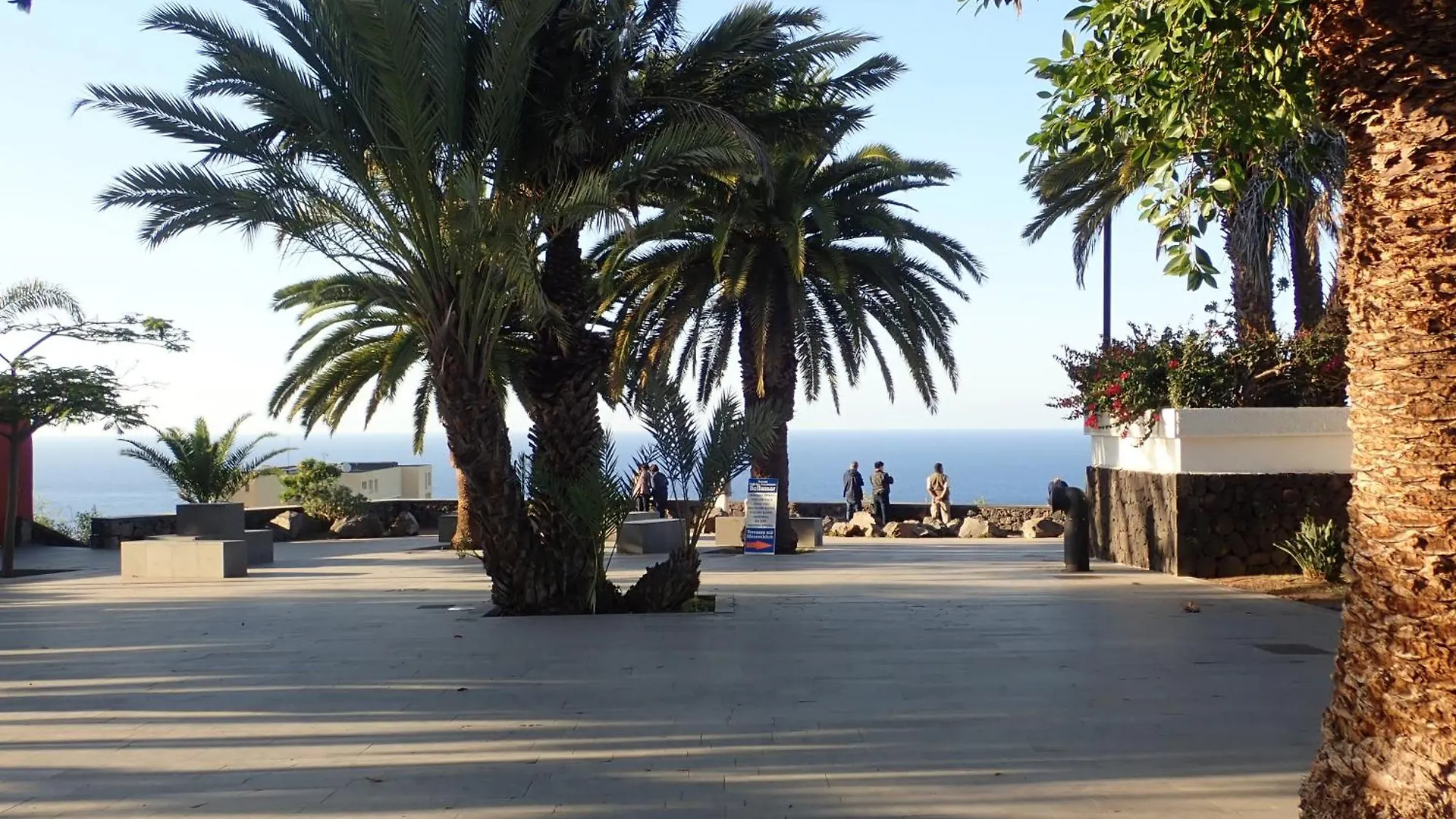 The Bird'S Nest Apartment Puerto de la Cruz